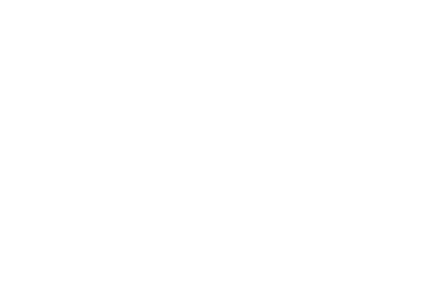 Savex Minerals